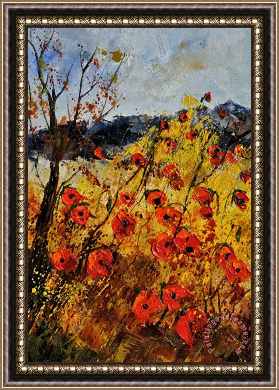 Pol Ledent Poppies in provence 456321 Framed Painting