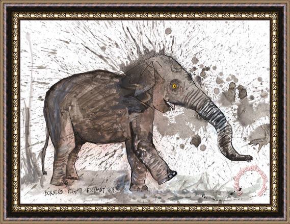Ralph Steadman Borneo Pygmy Elephant, 2017 Framed Print