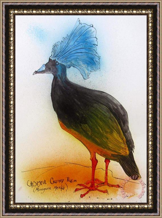 Ralph Steadman Choiseul Crested Pigeon, Ca. 2021 Framed Print