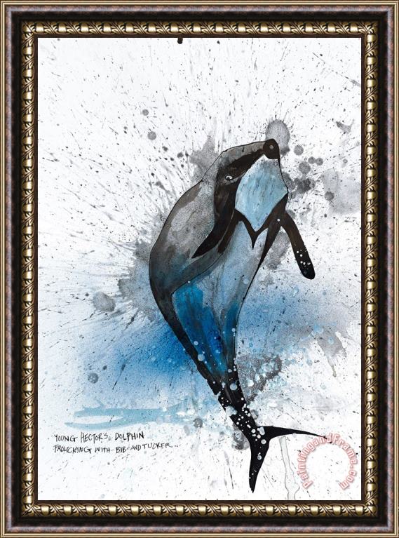 Ralph Steadman Hector's Dolphin, 2017 Framed Print