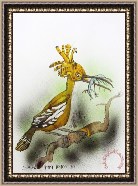 Ralph Steadman St Helena Giant Hoopoe, Ca. 2021 Framed Print
