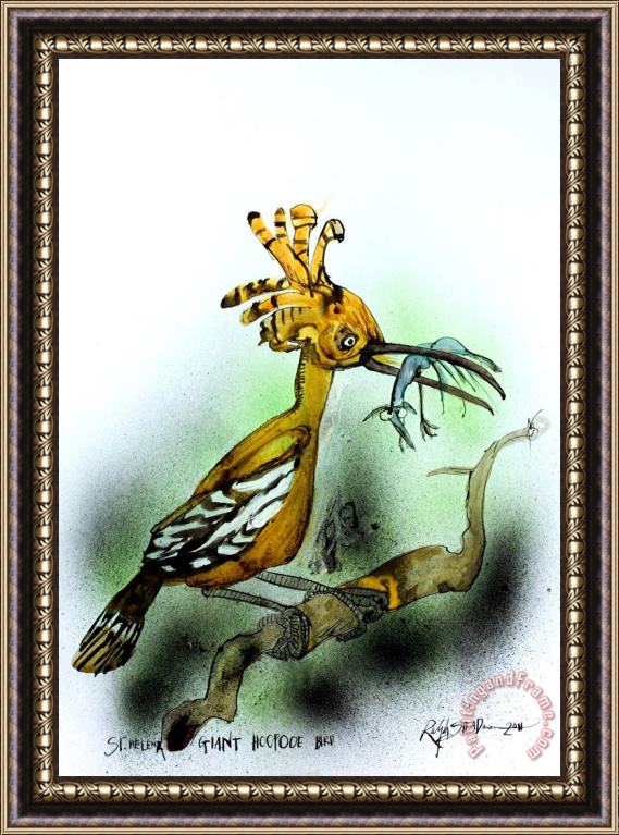Ralph Steadman St. Helena Giant Hoopooe Bird, 2011 Framed Print