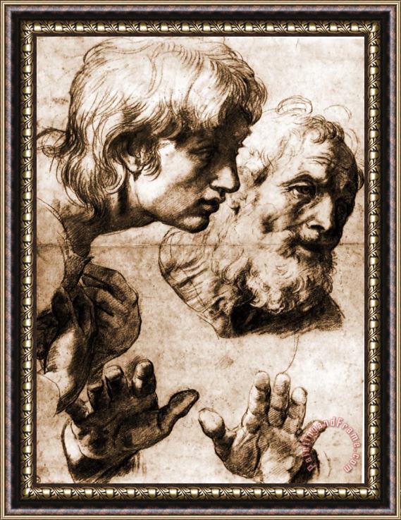 Raphael Studies for The Transfiguration Framed Print