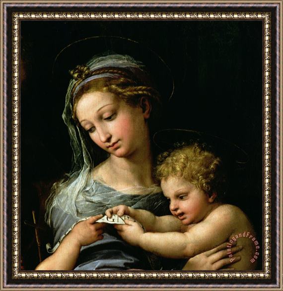 Raphael The Virgin of the Rose Framed Print