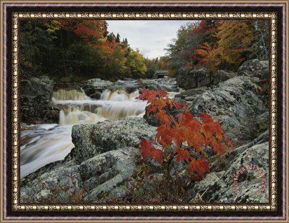 Raymond Gehman A Creek Rushes Past Autumn Colored Trees Framed Print