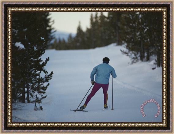 Raymond Gehman A Cross Country Skier on a Ski Trail in Yellowstone National Park Framed Painting