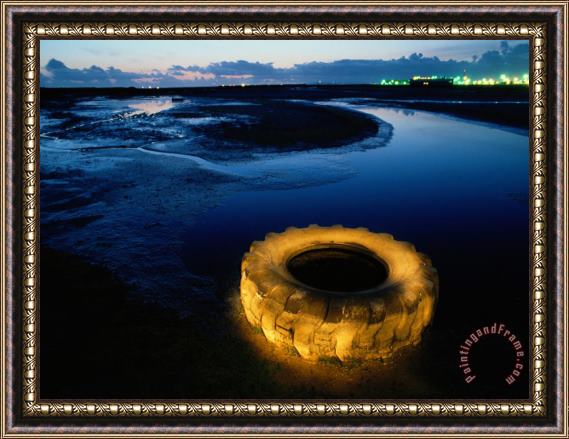 Raymond Gehman A Discarded Tire Glowing Like Neon in The Marsh Framed Painting
