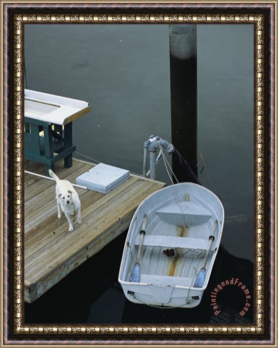 Raymond Gehman A Dog Waits on a Dock Near a Small Row Boat Framed Print
