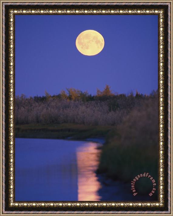 Raymond Gehman A Full Moon Is Reflected in The Mackenzie River Framed Painting