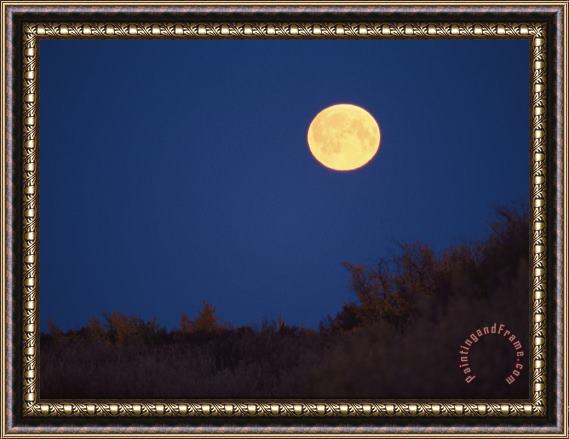 Raymond Gehman A Full Moon Rises Above The Mackenzie River Delta Framed Print