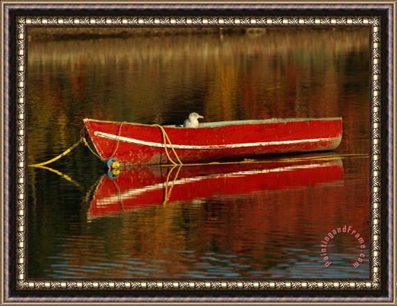 Raymond Gehman A Gull Rests on an Old Rowboat Framed Painting