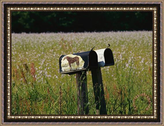 Raymond Gehman A Pair of Mailboxes Set on The Edge of a Field of Wildflowers Framed Print