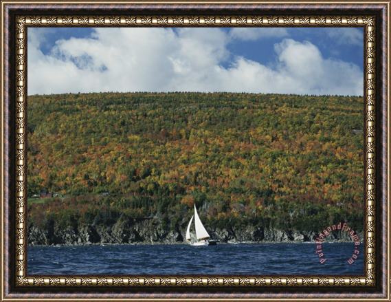 Raymond Gehman A Sailboat Passes a Low Headland Cloaked in Autumn Colors Framed Print
