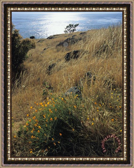 Raymond Gehman A Scenic Water View From Atop a Hill Framed Print