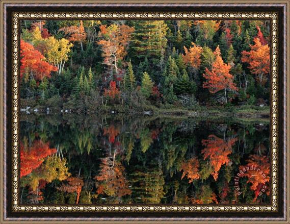 Raymond Gehman A Shore Lined with Trees in Autumn Hues Casting Reflections in Water Framed Print