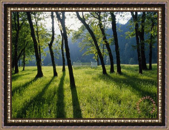 Raymond Gehman A Small Cemetery Located Among a Grove of Trees Framed Painting
