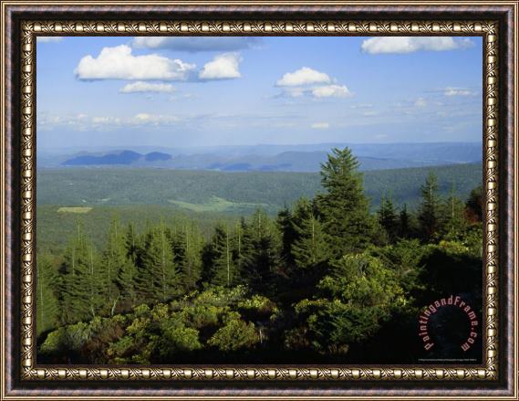 Raymond Gehman Allegheny Front with Mountain Laurel And Spruce Trees Framed Print