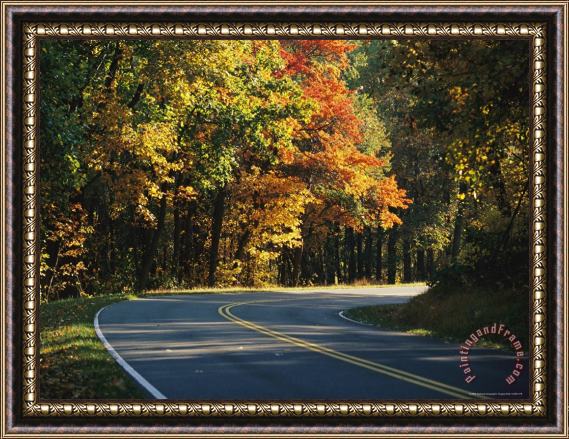 Raymond Gehman Autumn Colored Trees Lining The Scenic Skyline Drive Framed Print