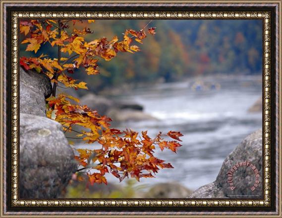Raymond Gehman Autumn Hues And Large Boulders Along The Gauley River Framed Print
