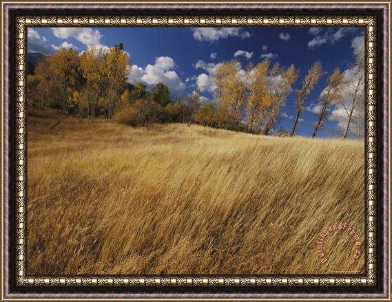 Raymond Gehman Autumn Meadow Scene Framed Painting