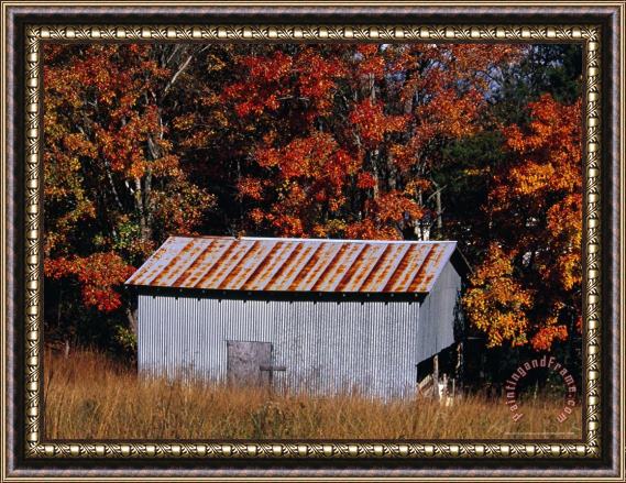Raymond Gehman Autumn View of an Old Tin Barn at The Edge of The Woods Framed Print