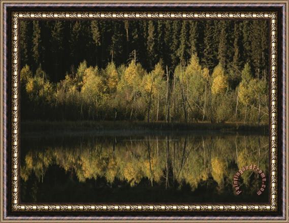 Raymond Gehman Autumnal Beauty Reflected in a Still Creek Framed Print