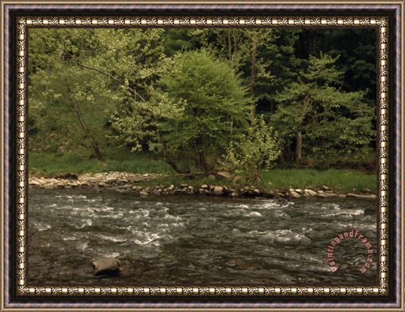 Raymond Gehman Bluestone River Rushing Through Pipestem State Park Framed Painting