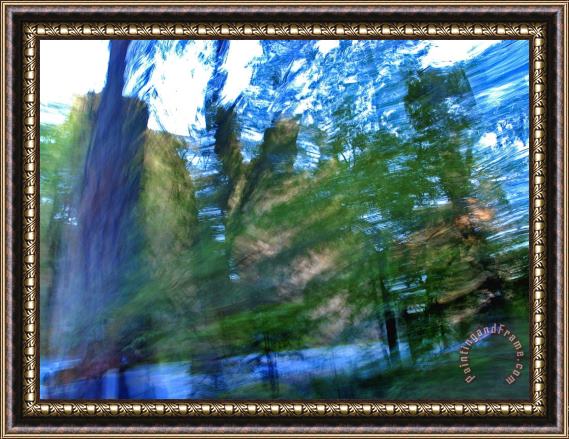 Raymond Gehman Blurred Motion Shot Redwood Trees at The Side of The Road Framed Print