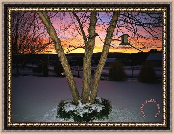 Raymond Gehman Brilliant Dawn Rises on a Tree And Birdhouse on a Snow Covered Yard Framed Print