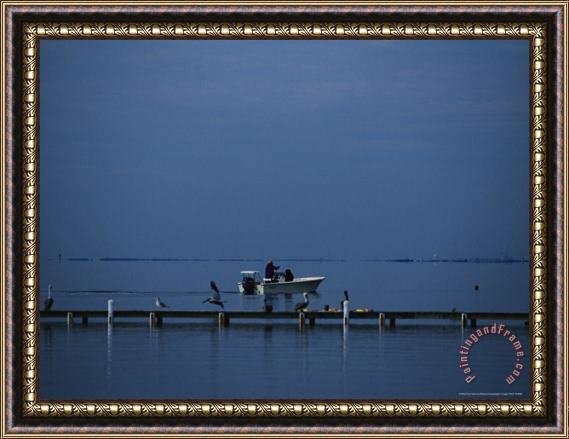 Raymond Gehman Brown Pelicans Sitting on a Dock As a Fisherman in a Boat Passes by Framed Painting