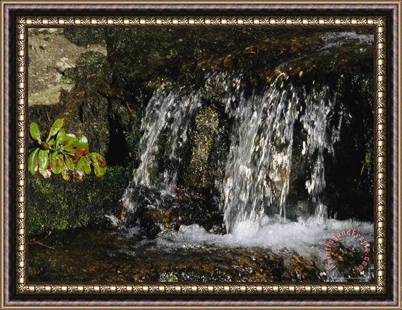 Raymond Gehman Cascading Waterfall in Jefferson National Forest Framed Painting