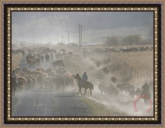 Raymond Gehman Cattle Round Up Caribou National Forest Idaho Framed Print