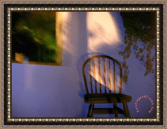 Raymond Gehman Chair And Vines on a Front Porch Framed Print