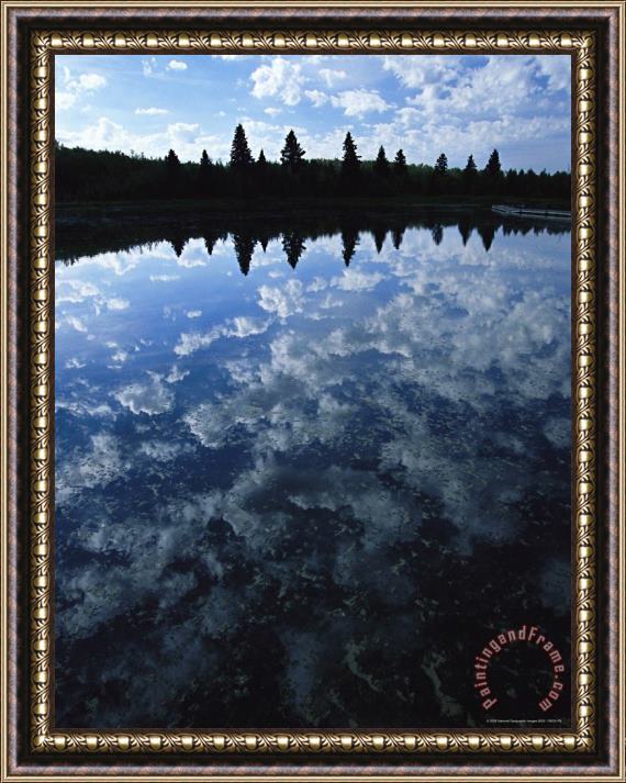 Raymond Gehman Clouds And Trees Reflected on The Surface of Astotin Lake Framed Print