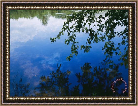 Raymond Gehman Clouds Blue Sky And Green Maple Leaves Reflected in The James River Framed Print