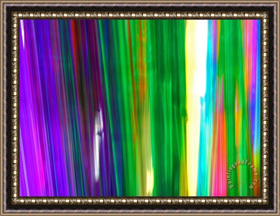 Raymond Gehman Colorful Plastic Tubes in San Francisco Plastics Shop Framed Painting