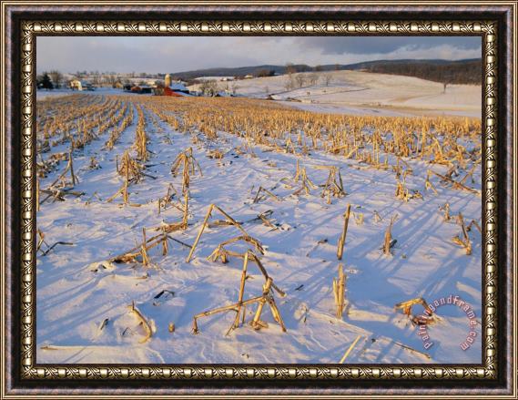 Raymond Gehman Corn Stubble in a Wintery Pennsylvania Landscape Framed Painting