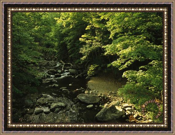 Raymond Gehman Crabtree Falls Creek Winds Through The Woods Framed Print