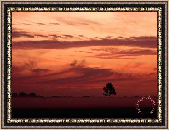 Raymond Gehman Dawn Mist Hangs Over Lake Kissimmee State Park Framed Painting