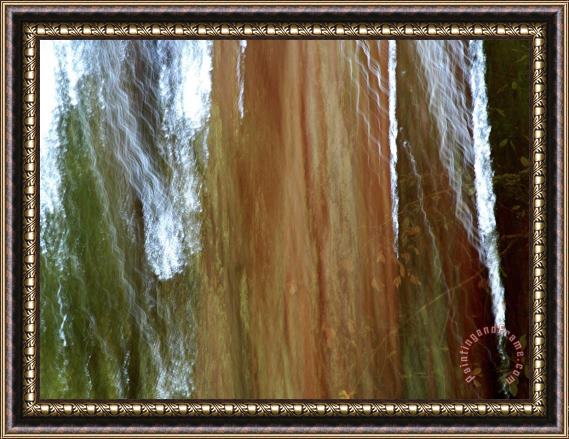 Raymond Gehman Detail of Giant Redwood Tree Trunk And Bark Framed Painting