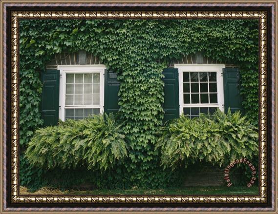 Raymond Gehman Detail of The Ivy Covered James Fenimore Cooper House Framed Print