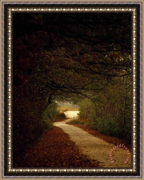 Raymond Gehman Dirt Road Through a Forest Leading Out Into a Field Framed Print