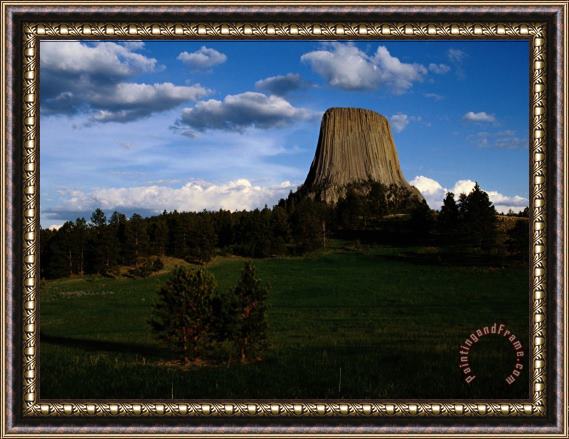 Raymond Gehman Distant View of Devils Tower Framed Painting