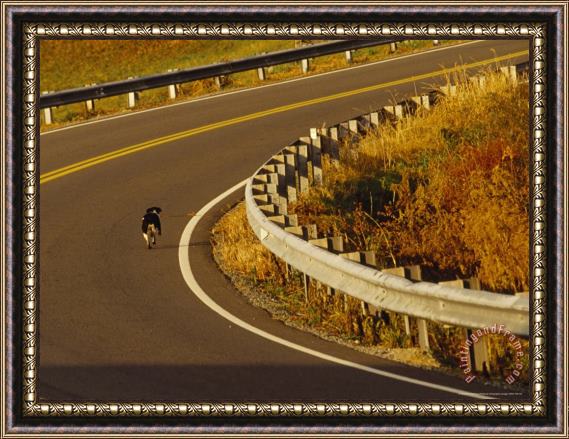 Raymond Gehman Dog Walks on Route 58 Framed Painting