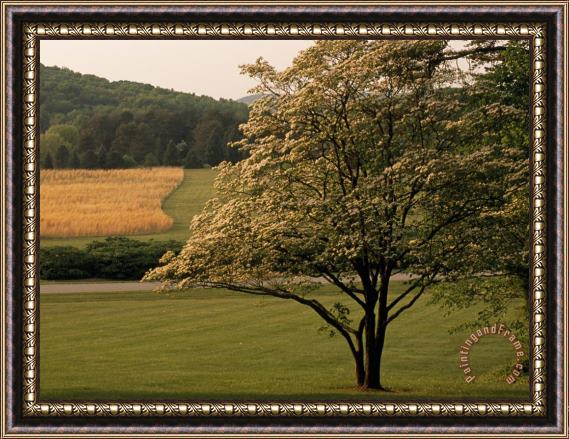 Raymond Gehman Dogwood Tree And Scenic Fields And Meadows Framed Painting