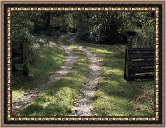 Raymond Gehman Driveway And Gate Through a Peaceful Woodland Setting Framed Painting