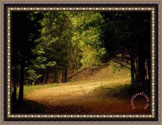 Raymond Gehman Eagle Point Trail Winding Through a Peaceful Forest Framed Print