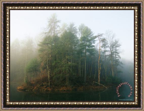 Raymond Gehman Early Morning Fog in The Trees Around Otter Lake Framed Print