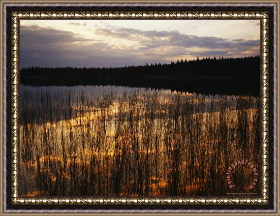 Raymond Gehman Evening Clouds Are Reflected on The Surface of Iskwasum Lake Framed Print