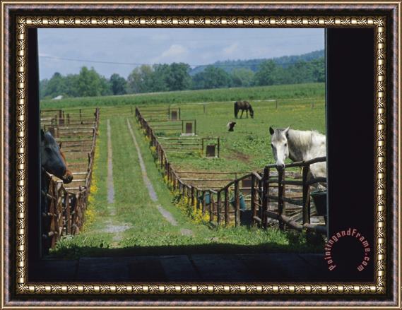 Raymond Gehman Farm Scene with Horses Grazing in Fenced Green Fields Near a Barn Framed Painting